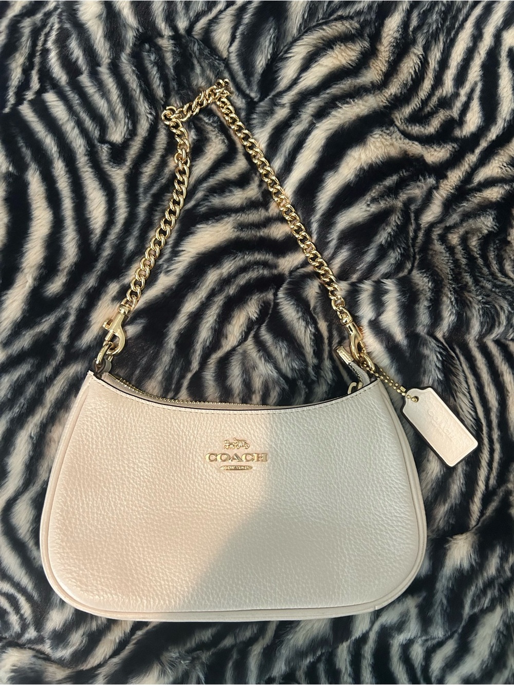 Coach Teri Mini Shoulder Bag